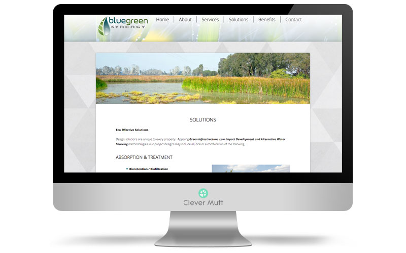 Blugreen Synergy website, by Clever Mutt™