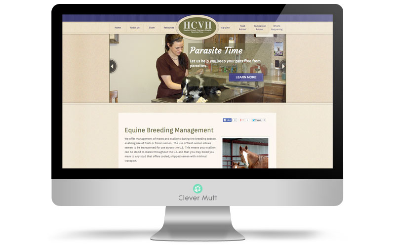 Hansford County Veterinary Hospital website, by Clever Mutt™